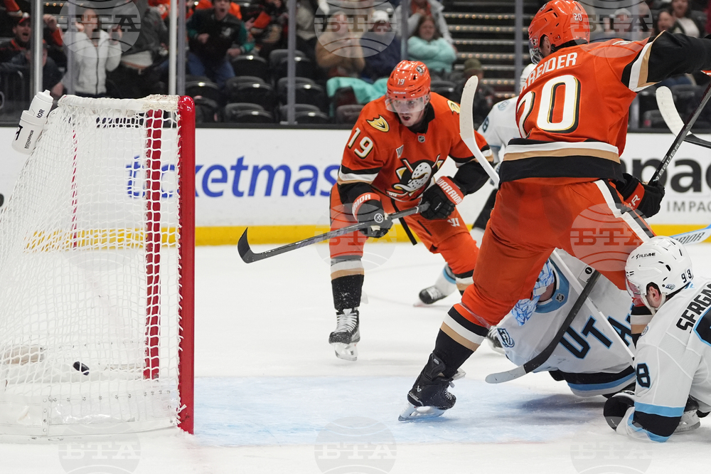 Mammoth Ducks Hockey