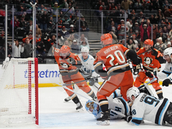 Mammoth Ducks Hockey