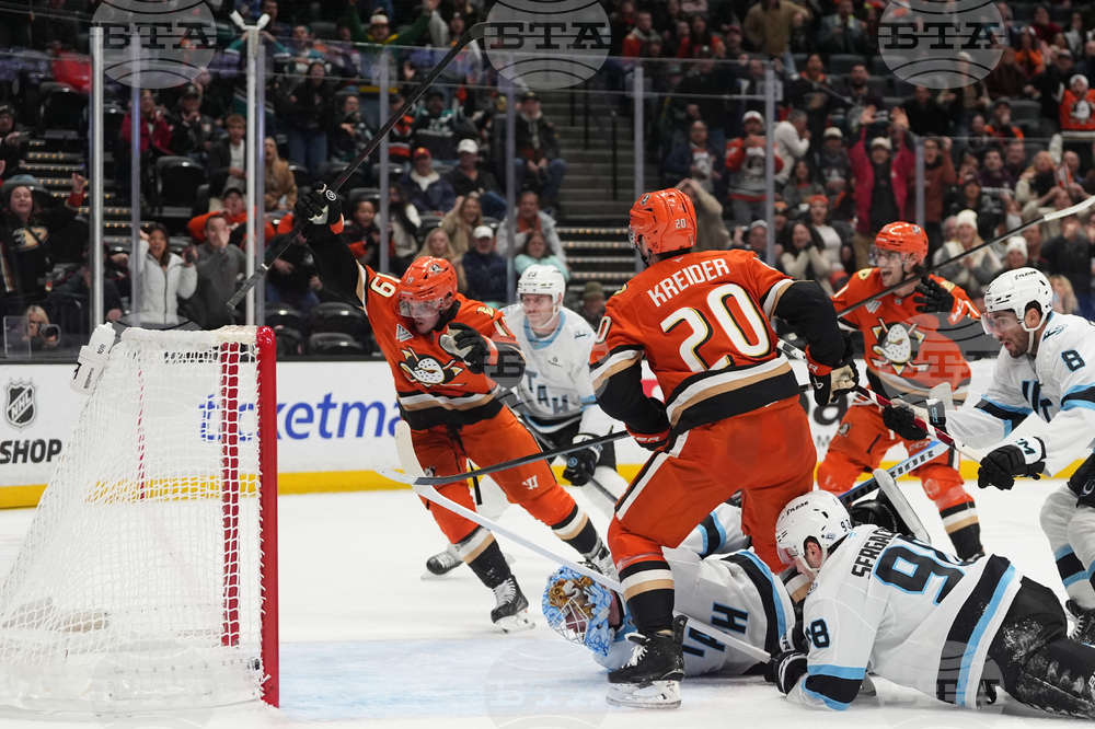 Mammoth Ducks Hockey