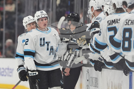 Mammoth Ducks Hockey