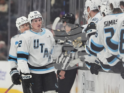 Mammoth Ducks Hockey