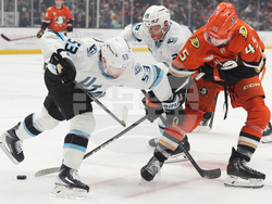 Mammoth Ducks Hockey