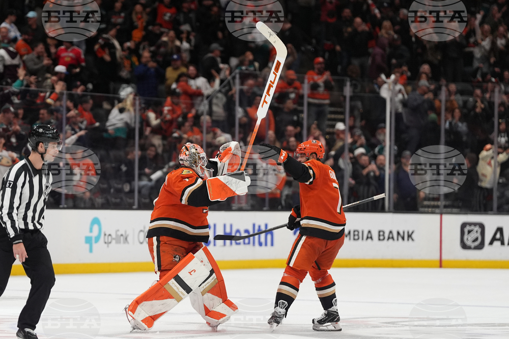 Mammoth Ducks Hockey