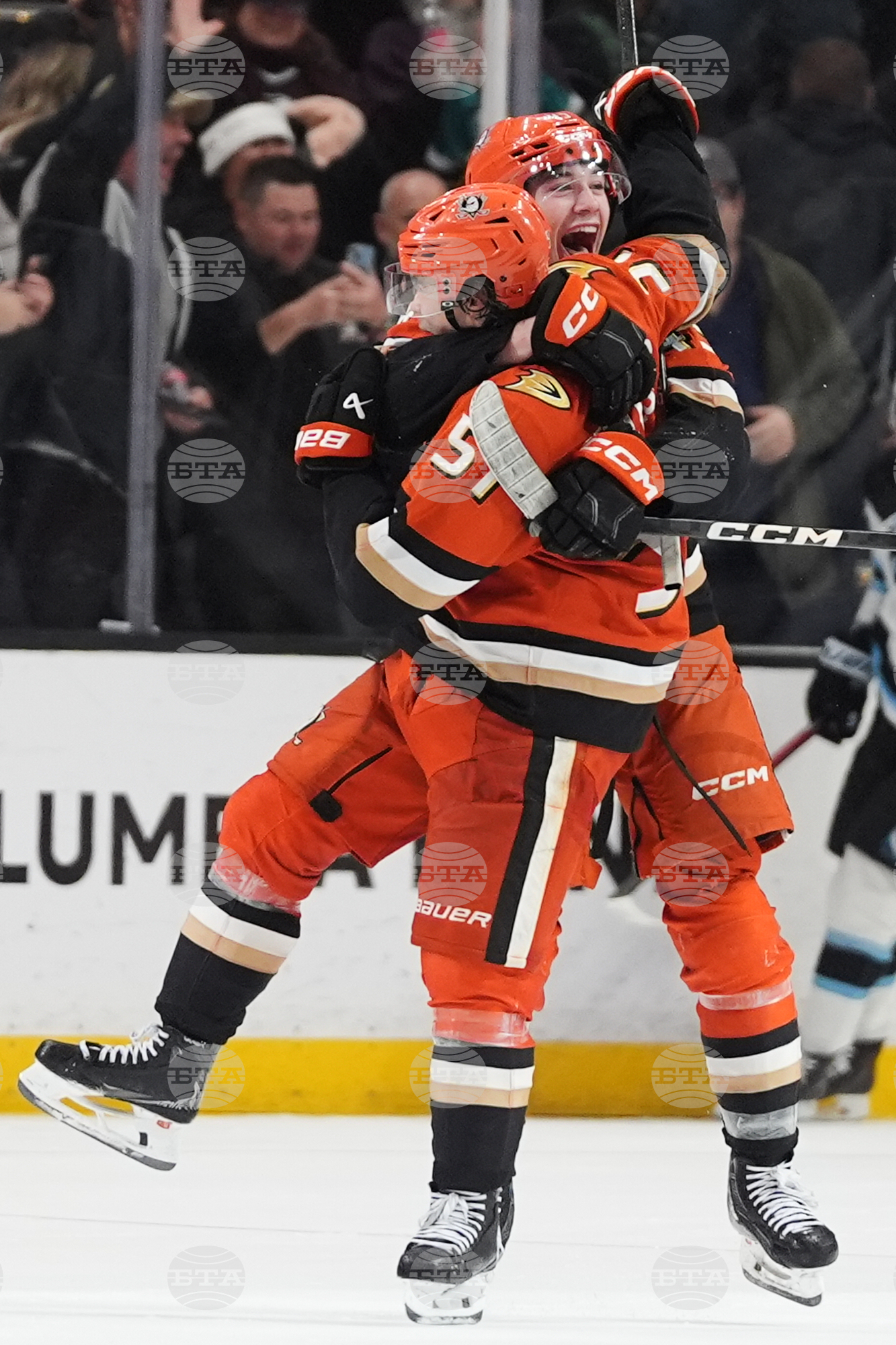 Mammoth Ducks Hockey