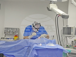 Снимка: Военномедицинска академия 