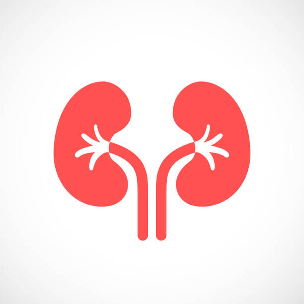 МБАЛ Добрич организира „Дни на нефрологията“ с безплатни прегледи на 5 и 6 декември