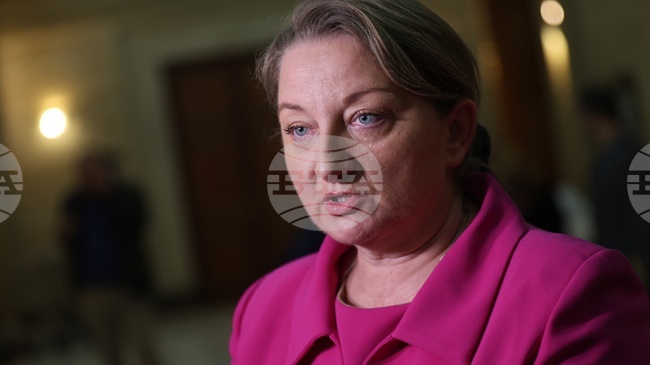 Това е единственият възможен бюджет и по тази причина в него са намерени изключително трудни баланси, каза Деница Сачева