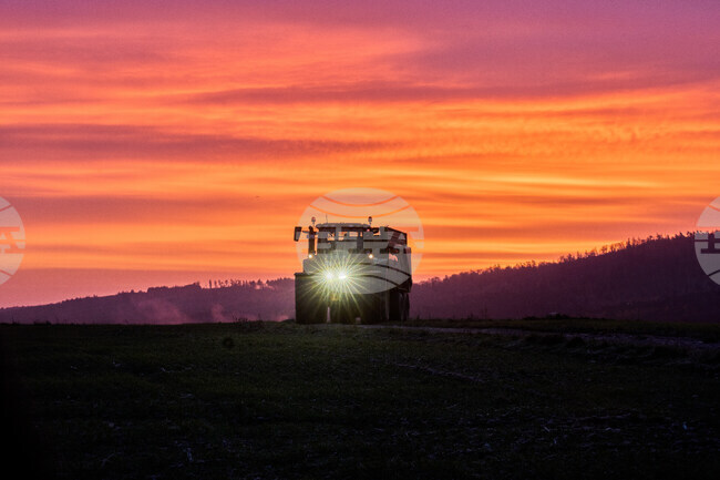 APTOPIX Germany Daily Life