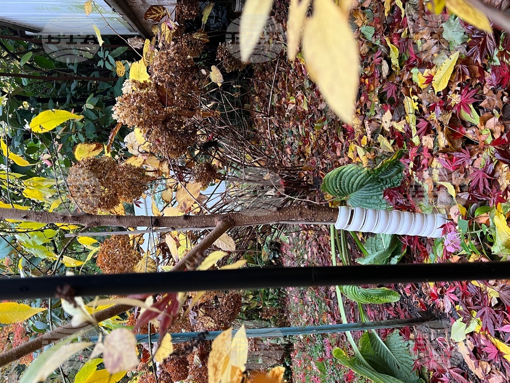 Gardening - Winter Chores