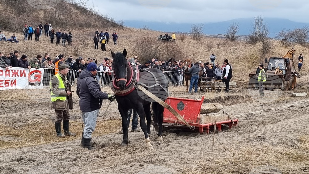 Село Люлин - Тодоровден