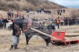 Село Люлин - Тодоровден