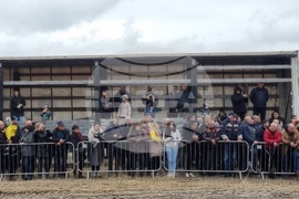 Село Люлин - Тодоровден