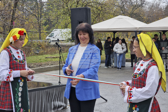 Долна баня - улица - Николай Лилиев - откриване