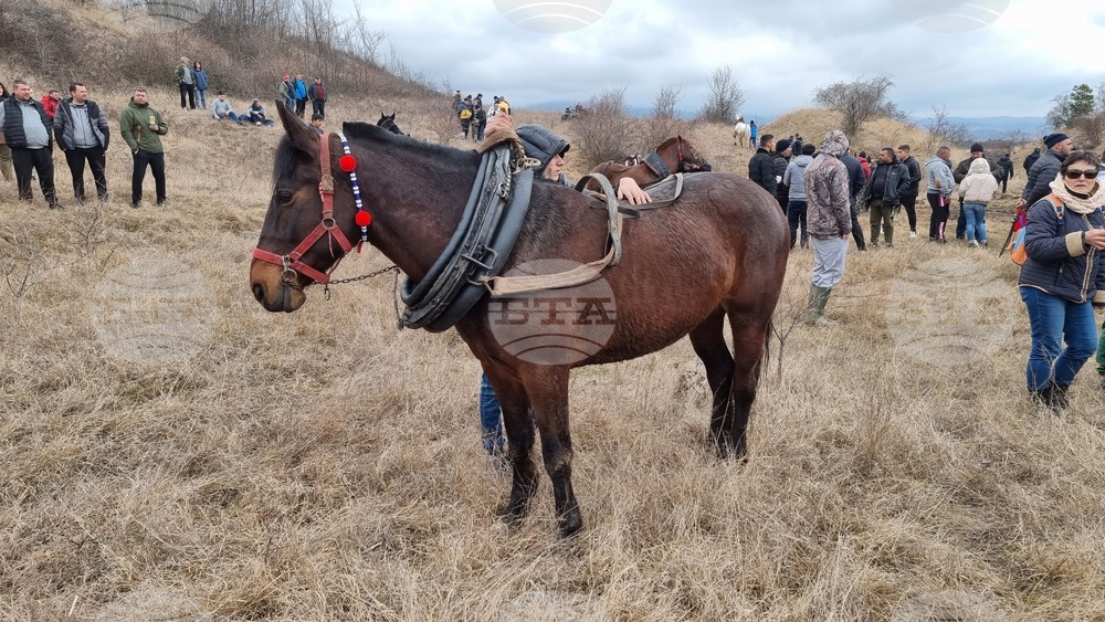 Село Люлин - Тодоровден