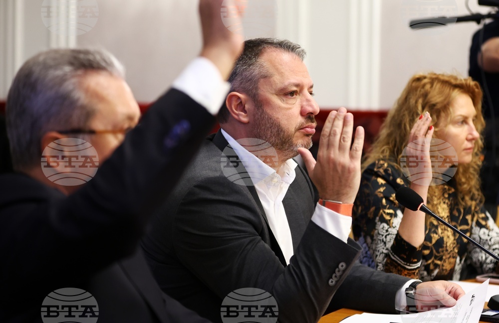 Budget Committee Adopts Public Social Insurance Budget Bill 