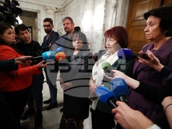 Народно събрание - Теменужка Петкова - брифинг