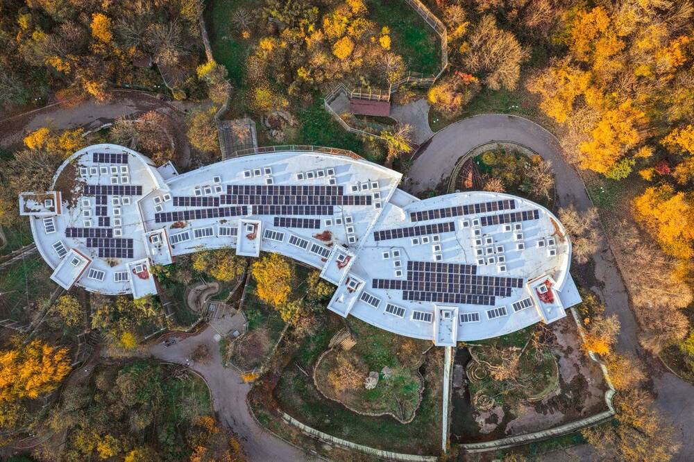Зоопаркът в София има нова фотоволтаична централа с ефект за спестяване на въглеродни емисии колкото 7120 засадени дръвчета годишно