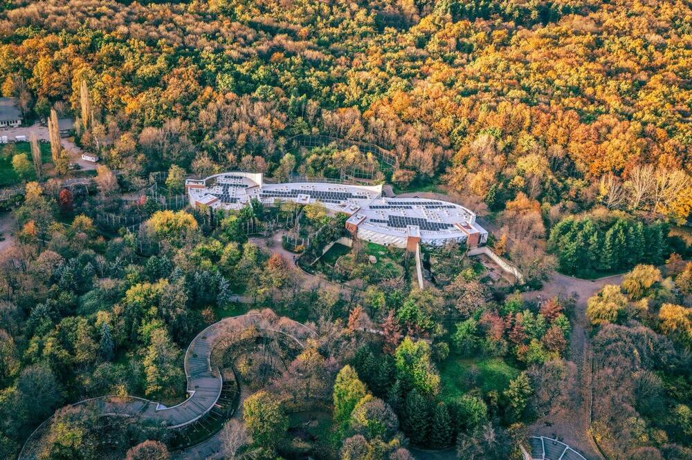 Столична община: Зоопаркът в София с нова фотоволтаична електрическа централа