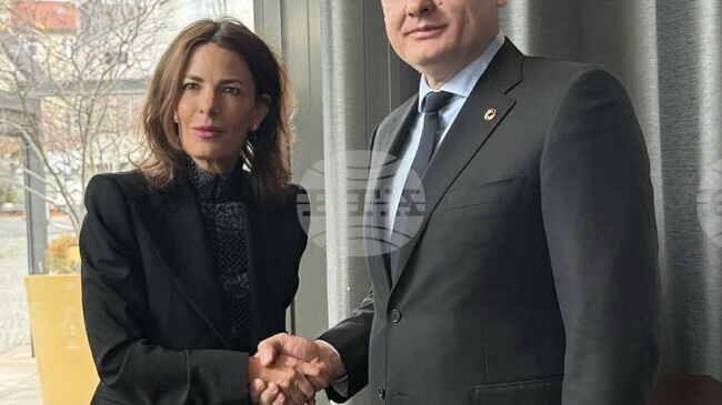 E-Government Minister Meets with Google's Vice President of Government Affairs and Public Policy for Europe