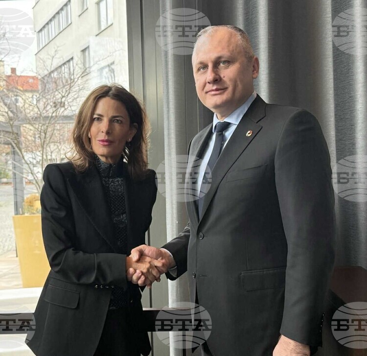 E-Government Minister Meets with Google's Vice President of Government Affairs and Public Policy for Europe