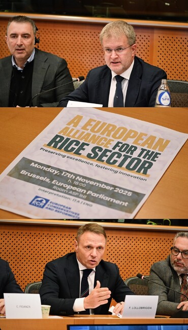 ПП “Има такъв народ”: Кръгла маса - предизвикателствата пред оризовия сектор в Европа