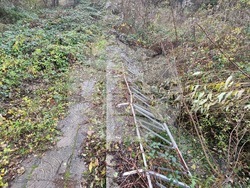 Вършец-река-корекция-2