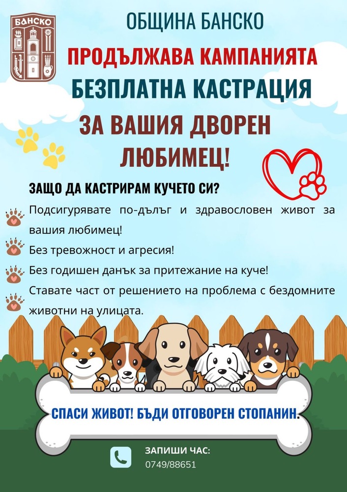 Община Банско отново с кампания за безплатна кастрация на дворни кучета