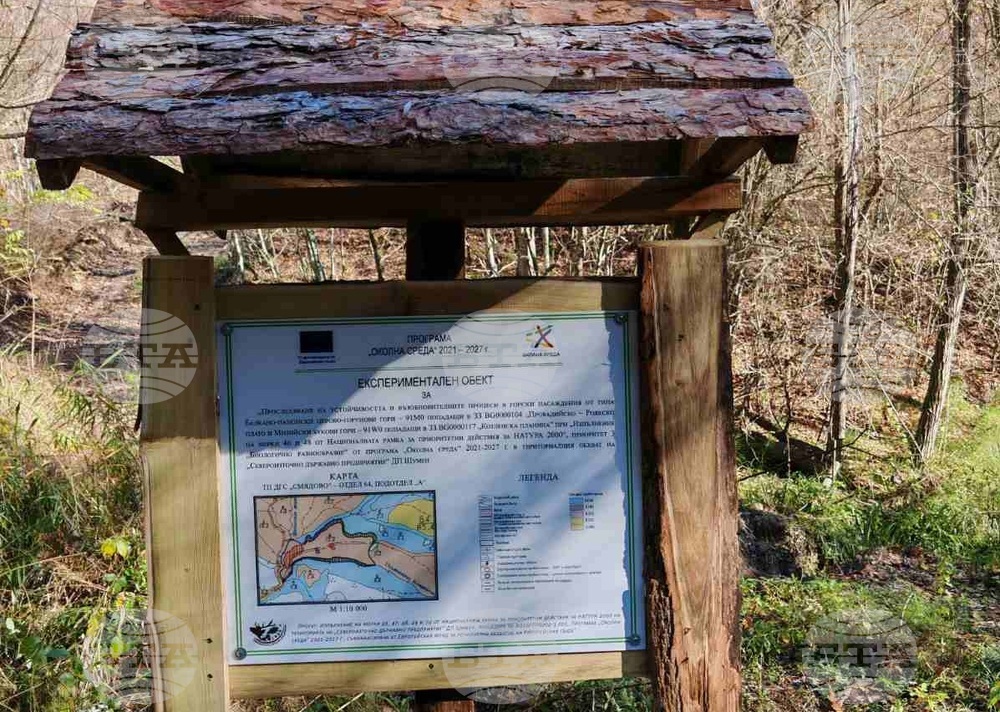 В Държавното горско стопанство в Смядово започва реализацията на проект “Бъдеще за гората“ 