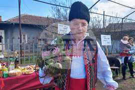 Видин - празник на зетьовете - село Сланотрън