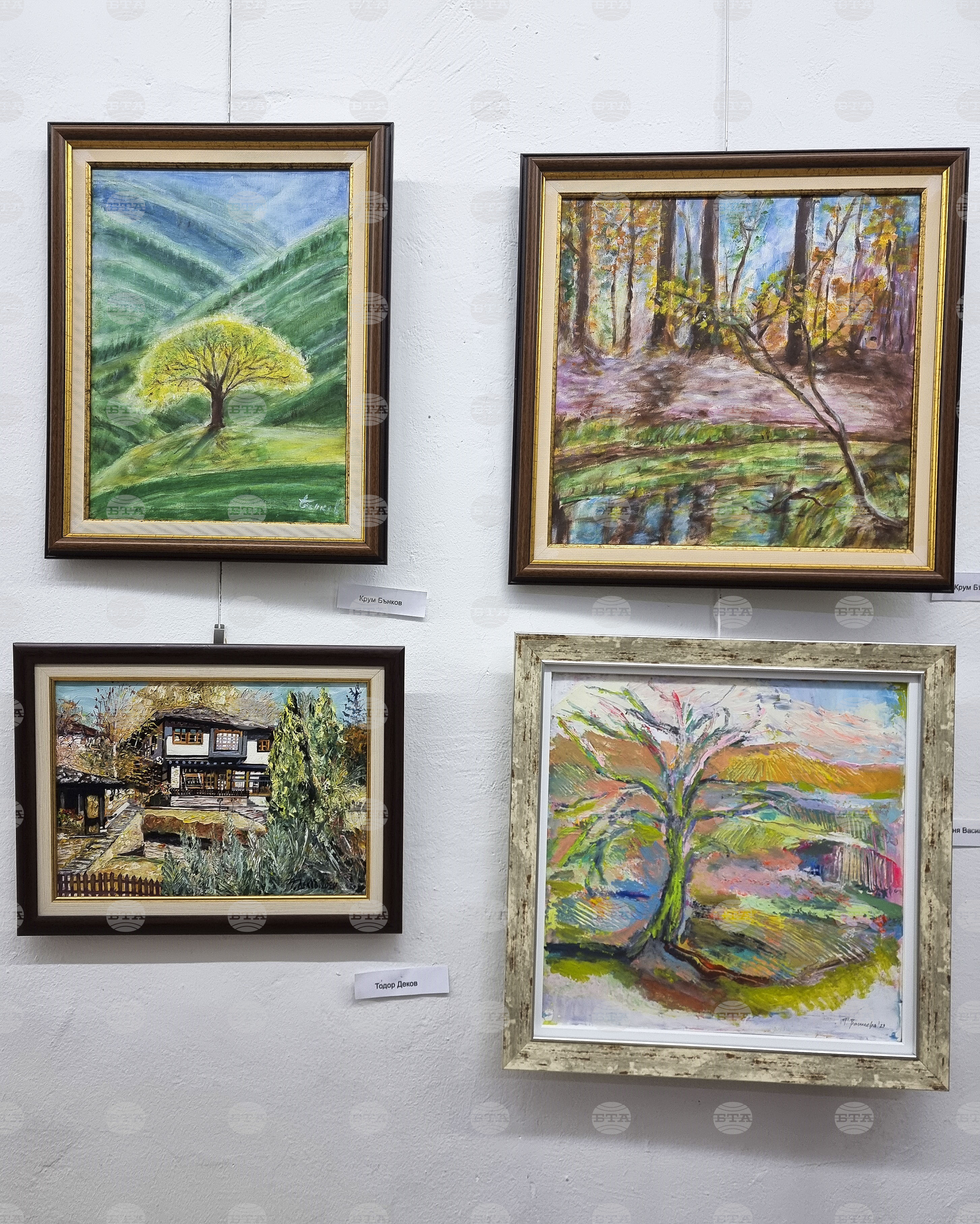 Монтана - дружеството на художниците „Тенец“ - „Есен“ - изложба