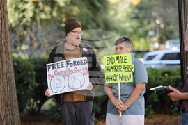 Abortion-South Carolina