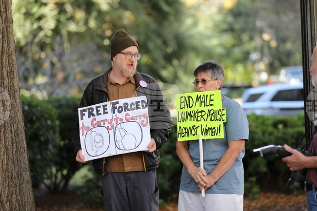 Abortion-South Carolina