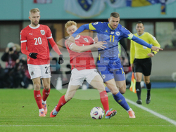 Austria Bosnia And Herzegovina Wcup Soccer