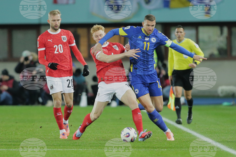 Austria Bosnia And Herzegovina Wcup Soccer