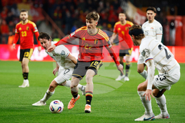 Belgium Liechtenstein WCup Soccer