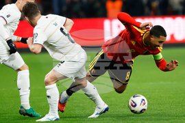 Belgium Liechtenstein WCup Soccer