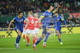 Austria Bosnia And Herzegovina Wcup Soccer