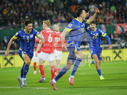 Austria Bosnia And Herzegovina Wcup Soccer