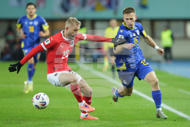 Austria Bosnia And Herzegovina Wcup Soccer