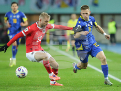 Austria Bosnia And Herzegovina Wcup Soccer