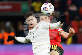 Belgium Liechtenstein WCup Soccer