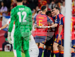 Spain Turkey WCup Soccer