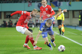 Austria Bosnia And Herzegovina Wcup Soccer