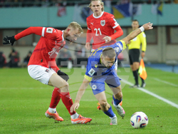 Austria Bosnia And Herzegovina Wcup Soccer