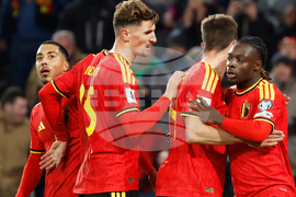 Belgium Liechtenstein WCup Soccer