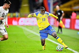 Sweden Slovenia World Cup Soccer