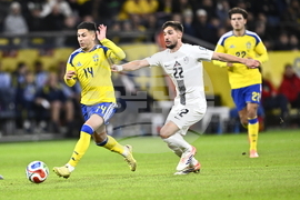 Sweden Slovenia World Cup Soccer