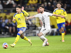 Sweden Slovenia World Cup Soccer