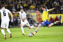 Sweden Slovenia World Cup Soccer