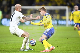 Sweden Slovenia WCup Soccer